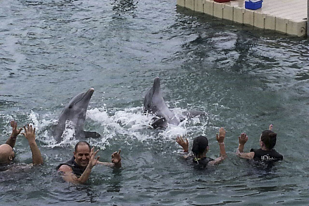 Dolphin Cove Lucea - Irie Zayne Taxi and Tours Jamaica - www.iriezaynetaxiandtoursjamaica.com - www.iriezaynetaxiandtoursjamaica.net