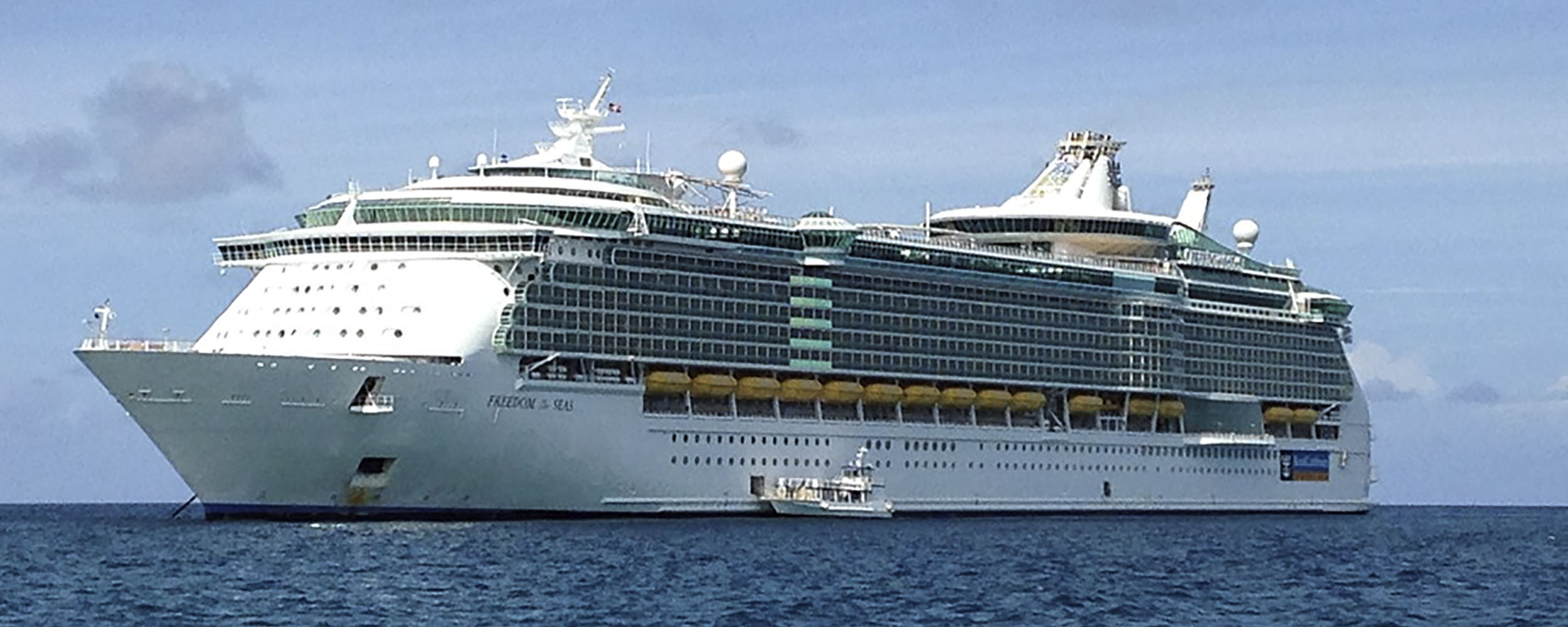 Freedom Of The Seas - Jamaican Cruise Ship Tours by Irie Zayne Taxi and Tours Jamaica Freedom Of The Seas - Jamaican Cruise Ship Tours by Irie Zayne Taxi and Tours Jamaica